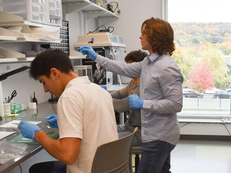 Scientists in a lab working.